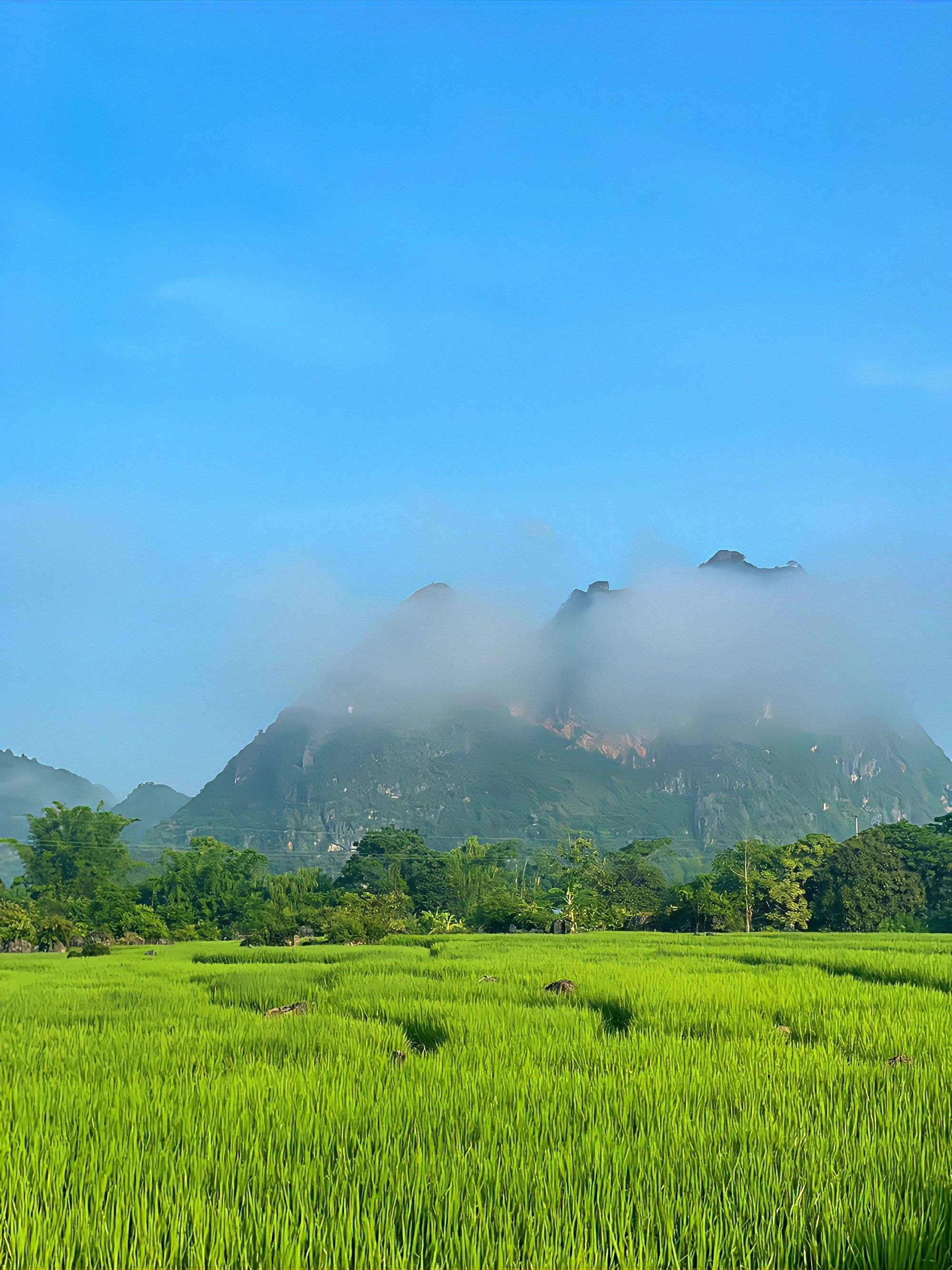 包含上海海港训练开放日;国际比赛日手感冰凉引欢呼;欧冠在即;资深球员宣示担当的词条-澳门赌博网